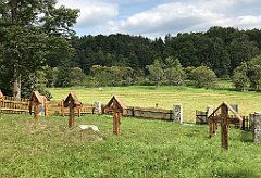 22_iP_180821_IMG_2522