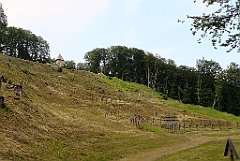 017_p20_IMG_20190618_183039