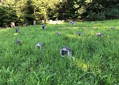 19_ip_20180712_IMG_2203