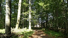 Cmentarz_Wojenny_051_Rotunda