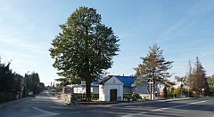 Cmentarz_Wojenny_180_Tarnowiec