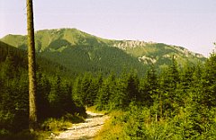 1981_08_01_Tatry