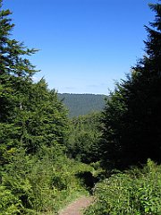 2656_Przelecz_Jalowiecka