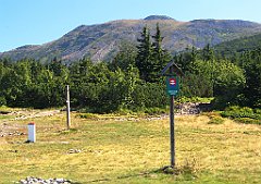 2695_Przelecz_Brona_na_BG