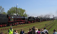 5452_Wolsztyn