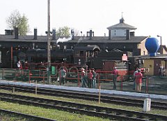 5593_Krysia_Wolsztyn