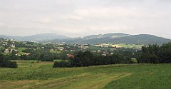 6413_widoczek