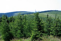 11983_Male_Skrzyczne