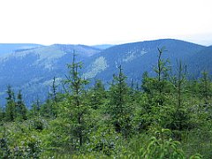 11992_Malinowska_Skala