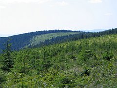 11994_Malinowska_Skala