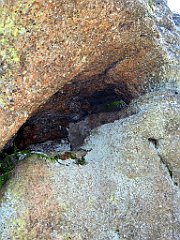 12035_Malinowska_Skala