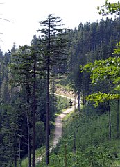 12072_Przelecz_Malinowska