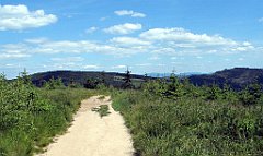 12086_Zielony_Kopiec