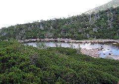 12706_Wielki_Kociol_Stawy