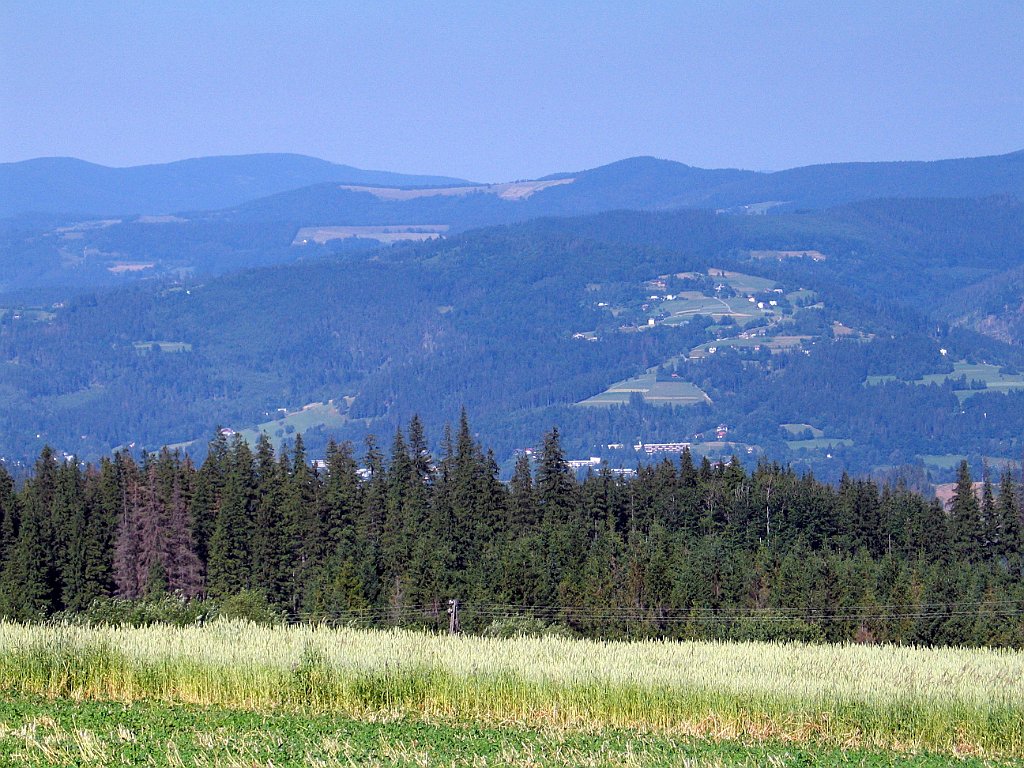 13547_Malinow.JPG