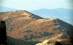 15128_Mala_Babia_Gora