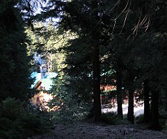 15249_Markowe_Szczawiny