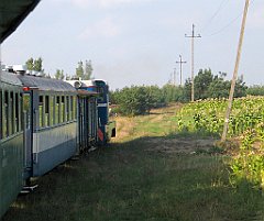 IMG_23753_cr