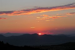 IMG_24396_cr