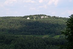 IMG_29016_cr