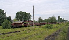 IMG_29074_cr