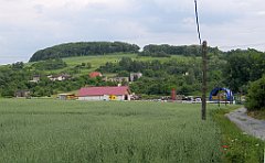 IMG_29157_cr