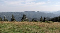 IMG_x7538_cr