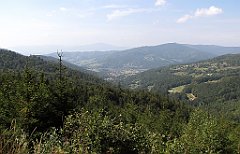 IMG_x7557_cr