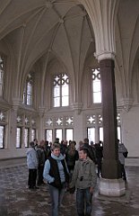 IMG_x10776_cr