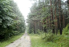 IMG_x17567_X44_P07290003_cr