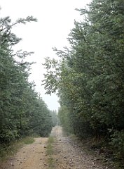 IMG_x17567_X44_P07290008_cr