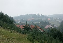 IMG_x17567_X44_P07290020_cr