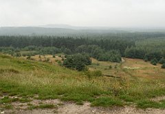 IMG_x17567_X44_P07290025_cr