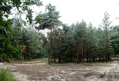 IMG_x17567_X44_P07290046_cr