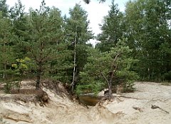 IMG_x17567_X44_P07290064_cr