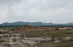 IMG_x17567_X44_P07290066_cr