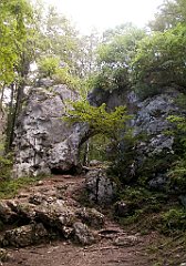 IMG_x17690_X44_P08060039_cr