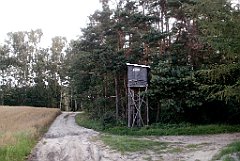 IMG_x17690_X44_P08060044_cr