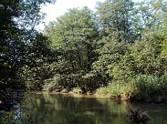 IMG_x18064_X44_P09010479_cr