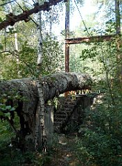 IMG_x18064_X44_P09010496_cr