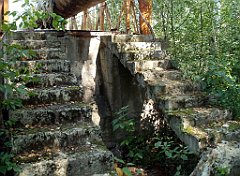 IMG_x18064_X44_P09010509_cr