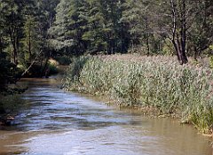 IMG_x18064_X44_P09010519_cr