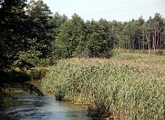 IMG_x18064_X44_P09010536_cr