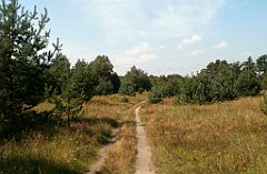 IMG_x18064_X44_P09010547_cr