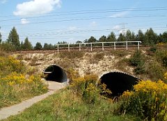 IMG_x18064_X44_P09010556_cr