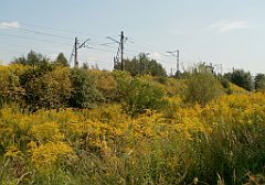 IMG_x18064_X44_P09010558_cr