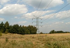 IMG_x18064_X44_P09010588_cr