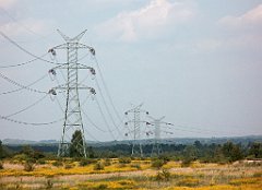 IMG_x18064_X44_P09010597_cr