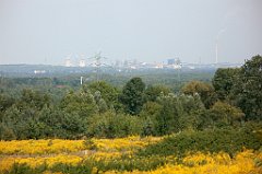 IMG_x18064_X44_P09010609_cr