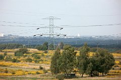 IMG_x18064_X44_P09010614_cr